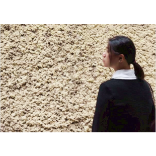 截圖 2026-05-16 晚上8.15.19.png