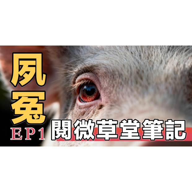 EP1 夙冤 悟道法師與紀曉嵐大學士跨越時空的因果對話影音封面